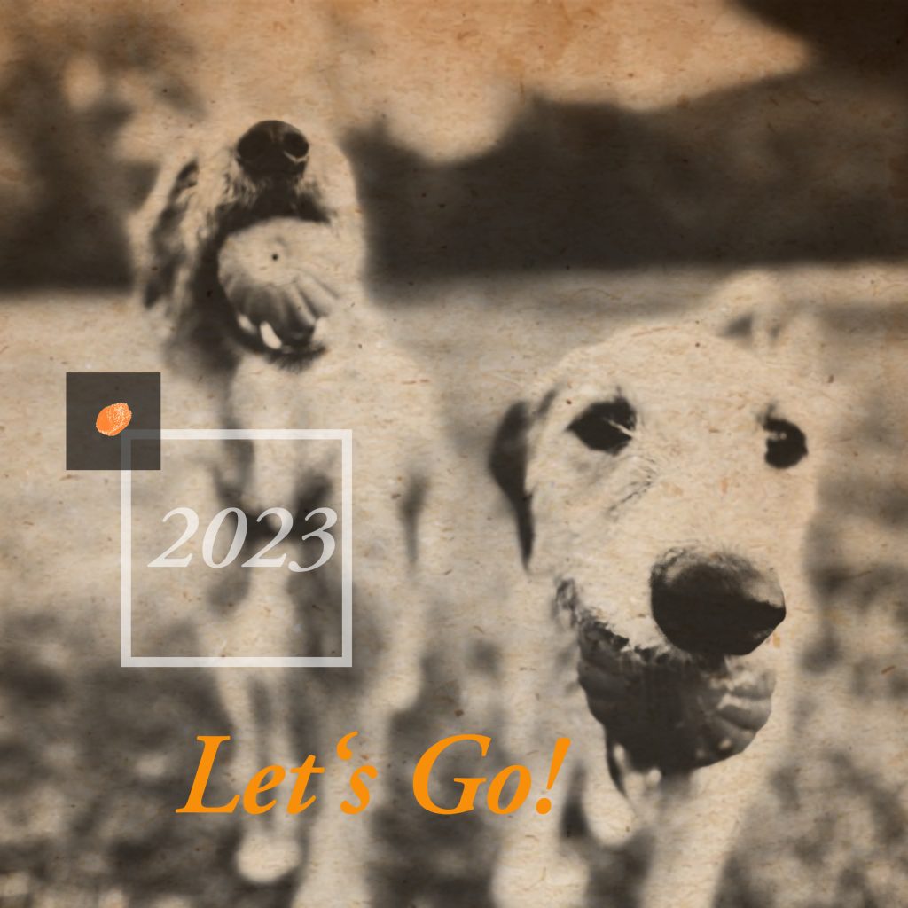 Nahaufnahme zweier Hunde, die jeweils einen Ball im Maul haben und dem Betrachter entgegenlaufen, das Bild ist in Orange-sepia Tönen gehalten mit dem Schriftzug 2023, Let's go!